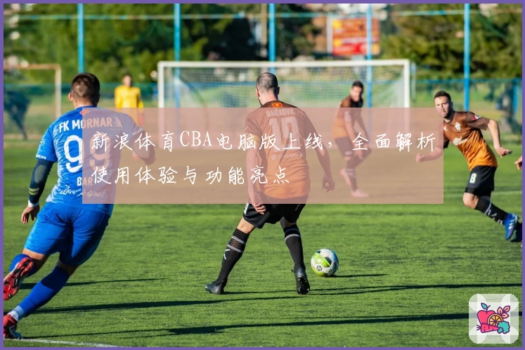 新浪体育CBA电脑版上线，全面解析使用体验与功能亮点