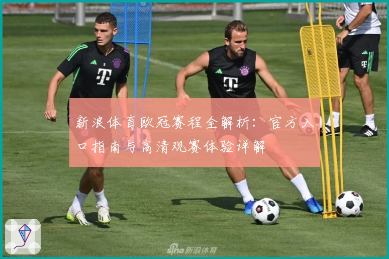 新浪体育欧冠赛程全解析：官方入口指南与高清观赛体验详解
