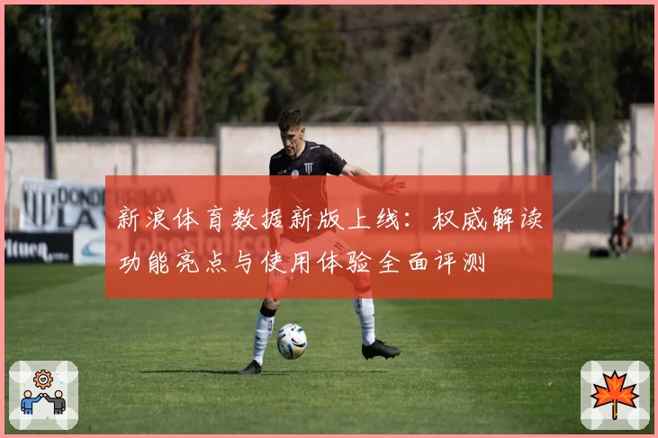 新浪体育数据新版上线：权威解读功能亮点与使用体验全面评测