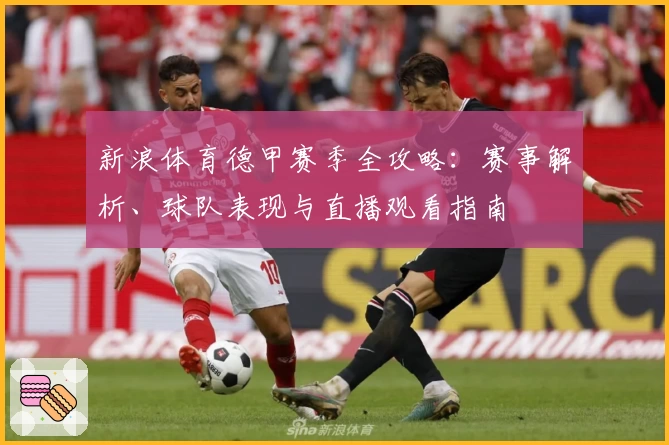 新浪体育德甲赛季全攻略：赛事解析、球队表现与直播观看指南