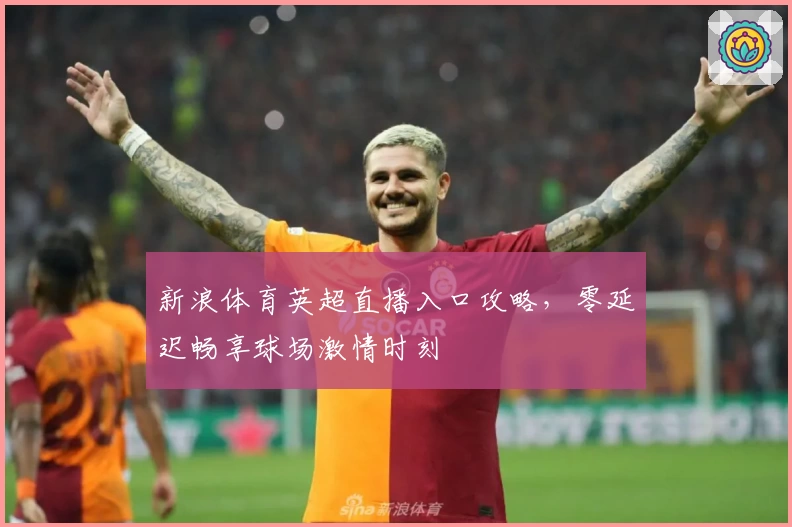 新浪体育英超直播入口攻略，零延迟畅享球场激情时刻