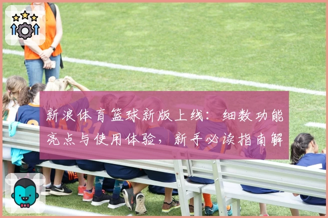 新浪体育篮球新版上线：细数功能亮点与使用体验，新手必读指南解析