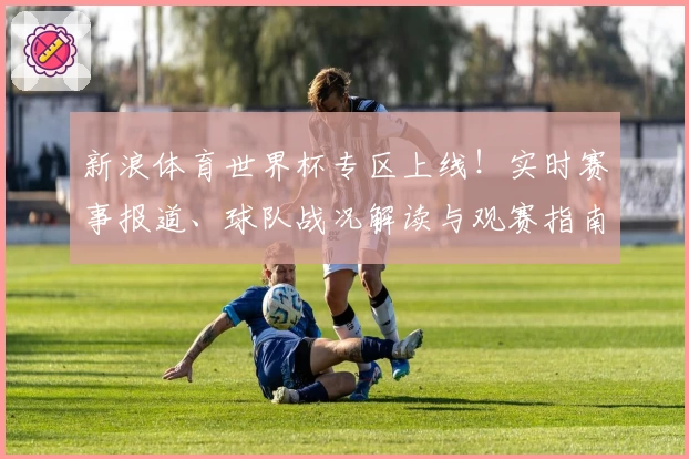 新浪体育世界杯专区上线！实时赛事报道、球队战况解读与观赛指南一应俱全