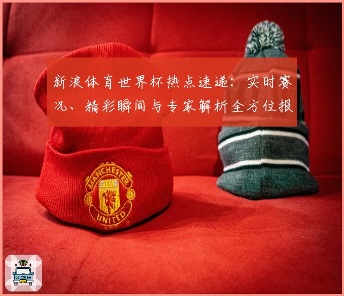 新浪体育世界杯热点速递：实时赛况、精彩瞬间与专家解析全方位报道