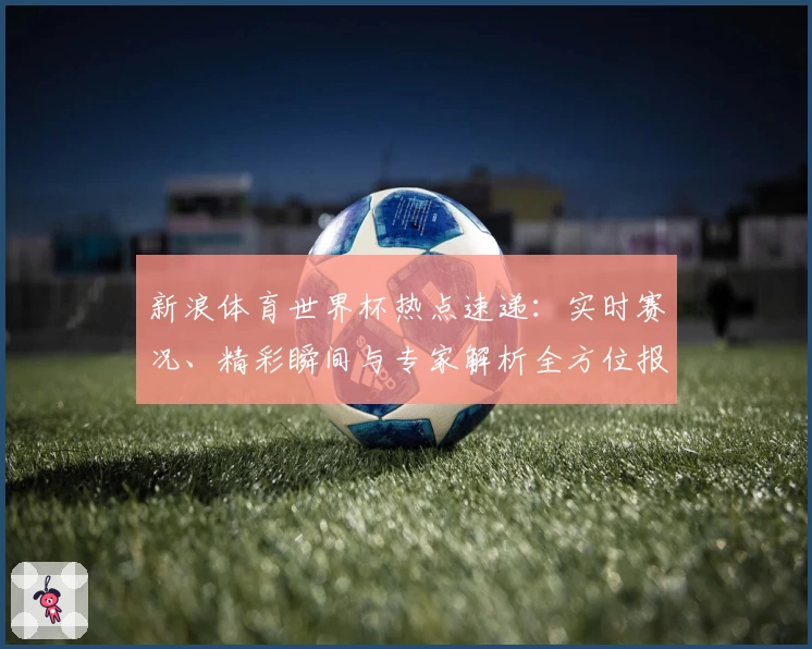 新浪体育世界杯热点速递：实时赛况、精彩瞬间与专家解析全方位报道